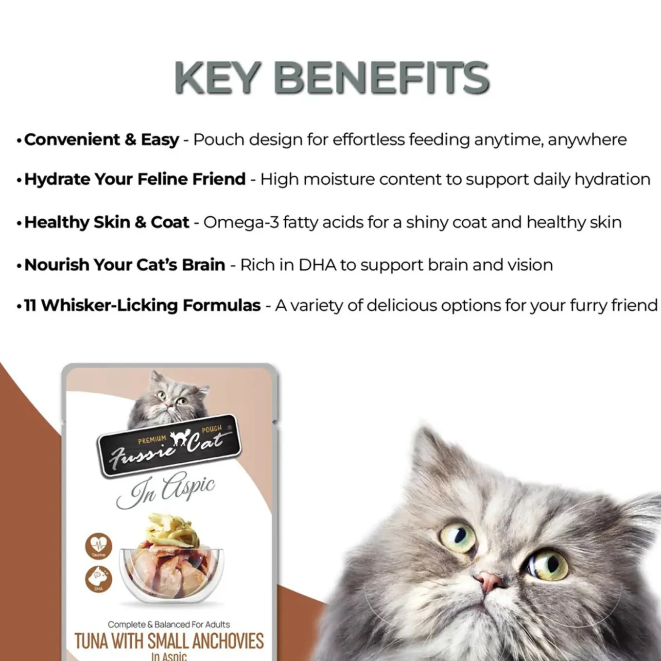 Fussie Cat Premium Pouch Wet Cat Food in Aspic