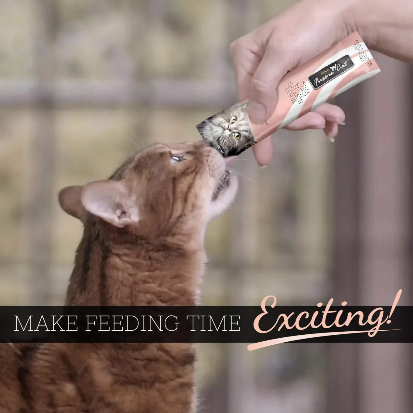 Fussie Cat Puree Cat Treat