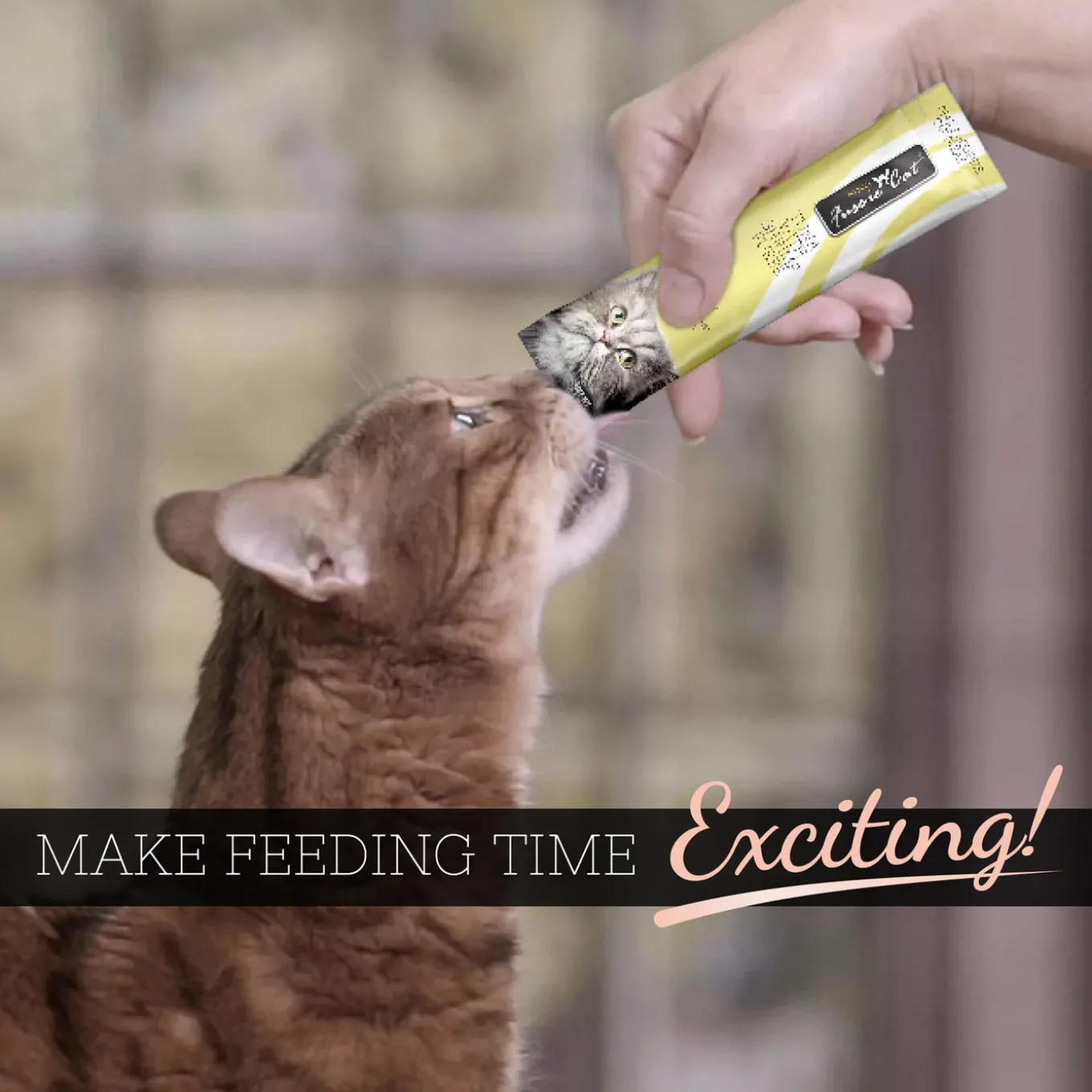 Fussie Cat Puree Cat Treat