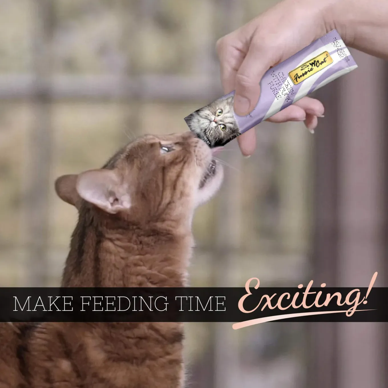 Fussie Cat Puree Cat Treat