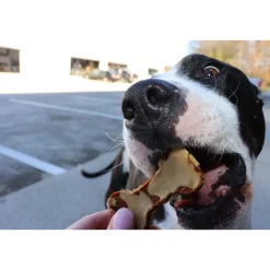 Gaines Family Farmstead Sweet Potato Bones Dog Treats