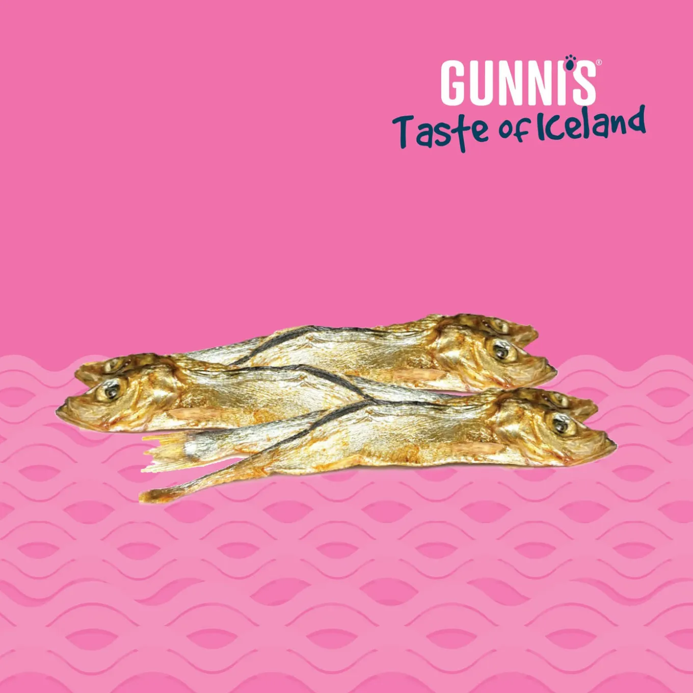 Gunni's Taste of Iceland Whole Fish Herring Dog Treats