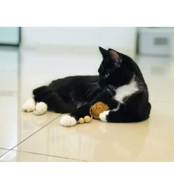 Healthy Pet World Nutties Coconut Husk Dental Cat Toy