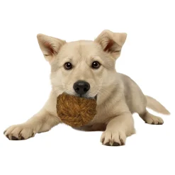 Healthy Pet World Nutties Coconut Husk Dog Toys