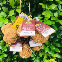 Healthy Pet World Nutties Coconut Husk Dog Toys