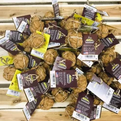 Healthy Pet World Nutties Coconut Husk Dog Toys