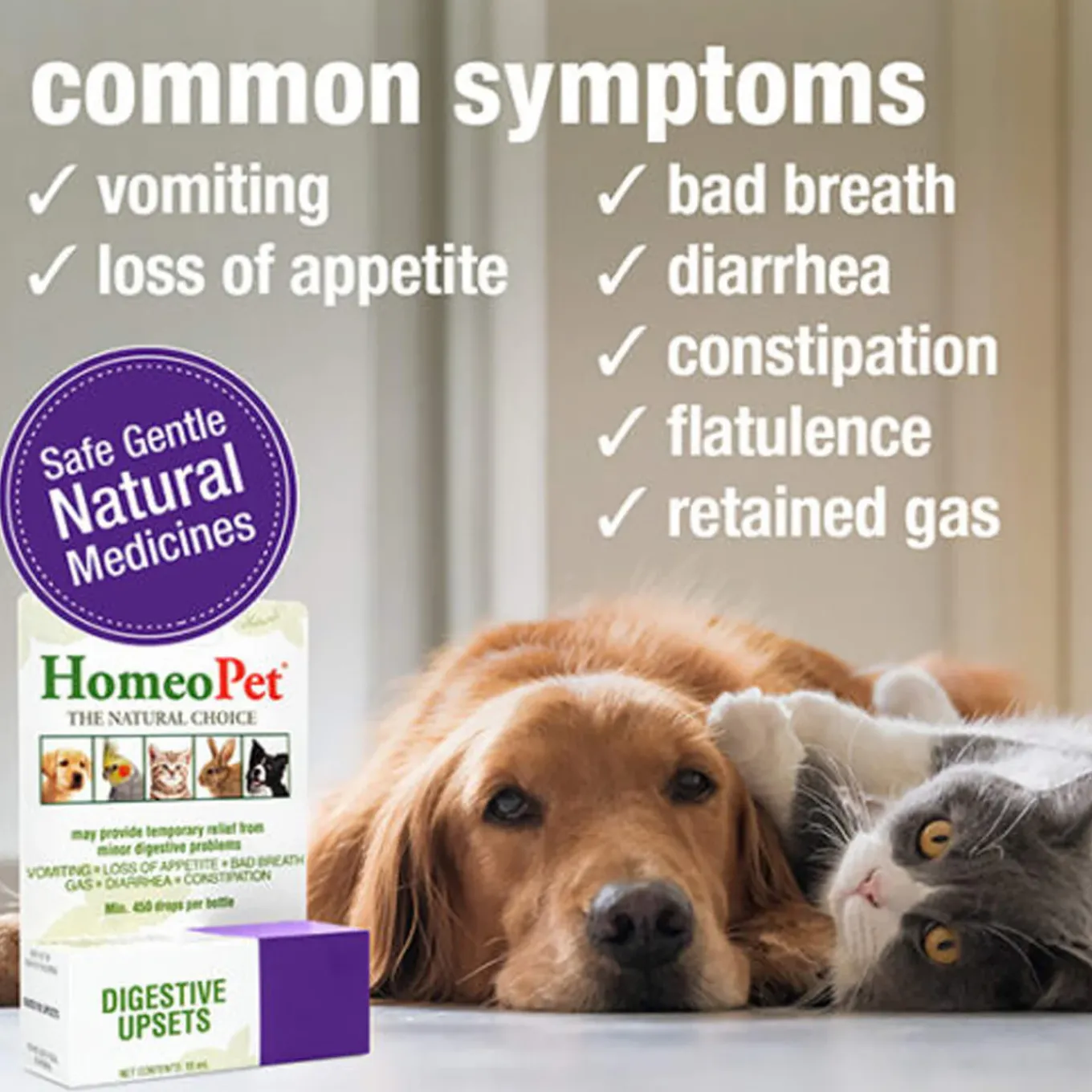 HomeoPet Digestive Upsets