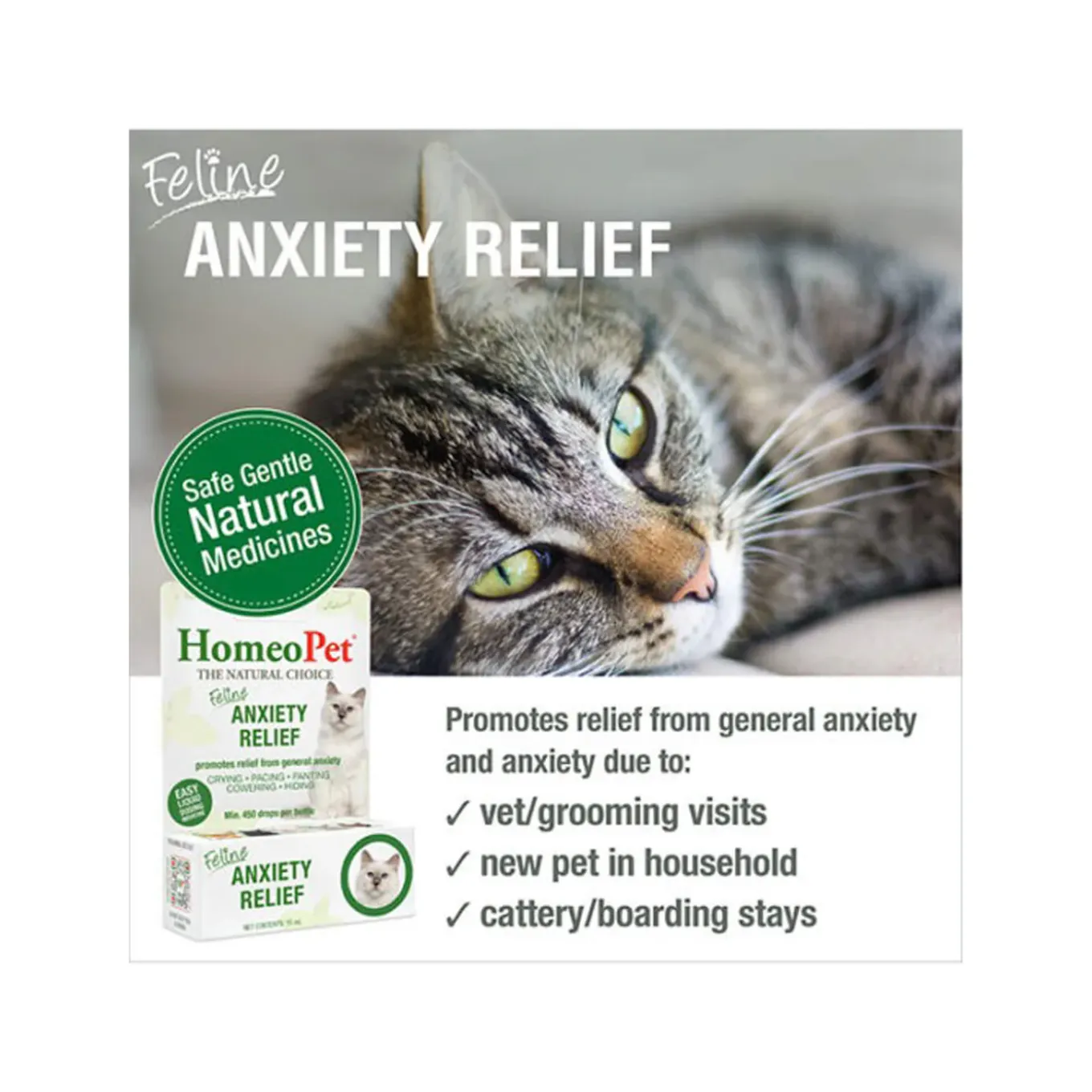 HomeoPet Feline Homeopathic Anxiety Relief Drops for Cats