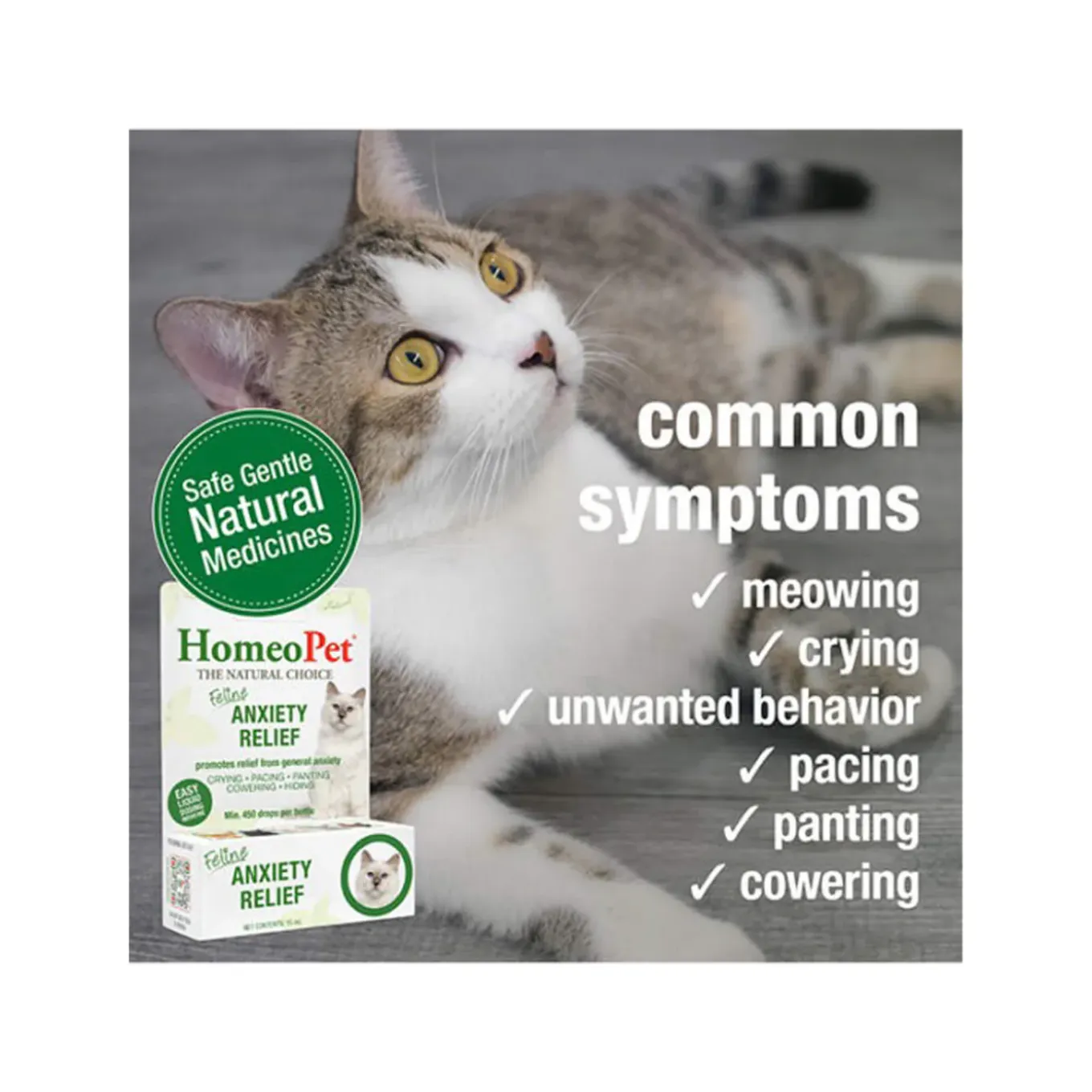 HomeoPet Feline Homeopathic Anxiety Relief Drops for Cats