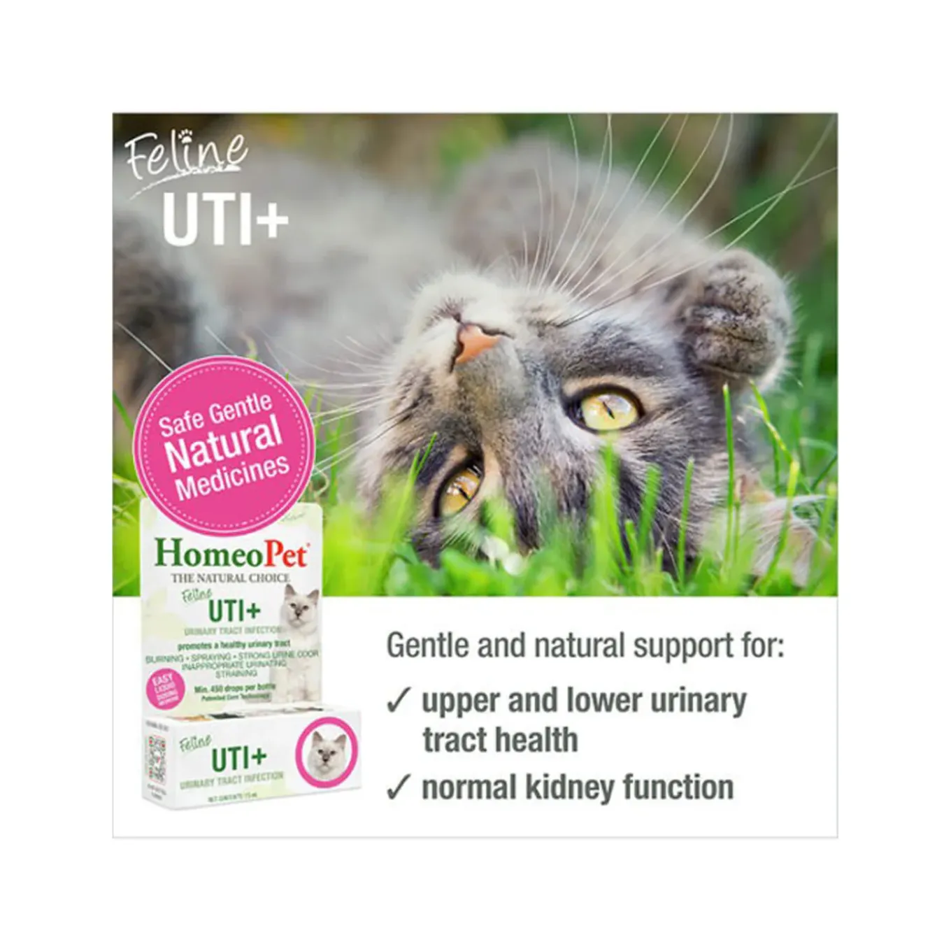 HomeoPet Feline Homeopathic UTI+ Drops for Cats