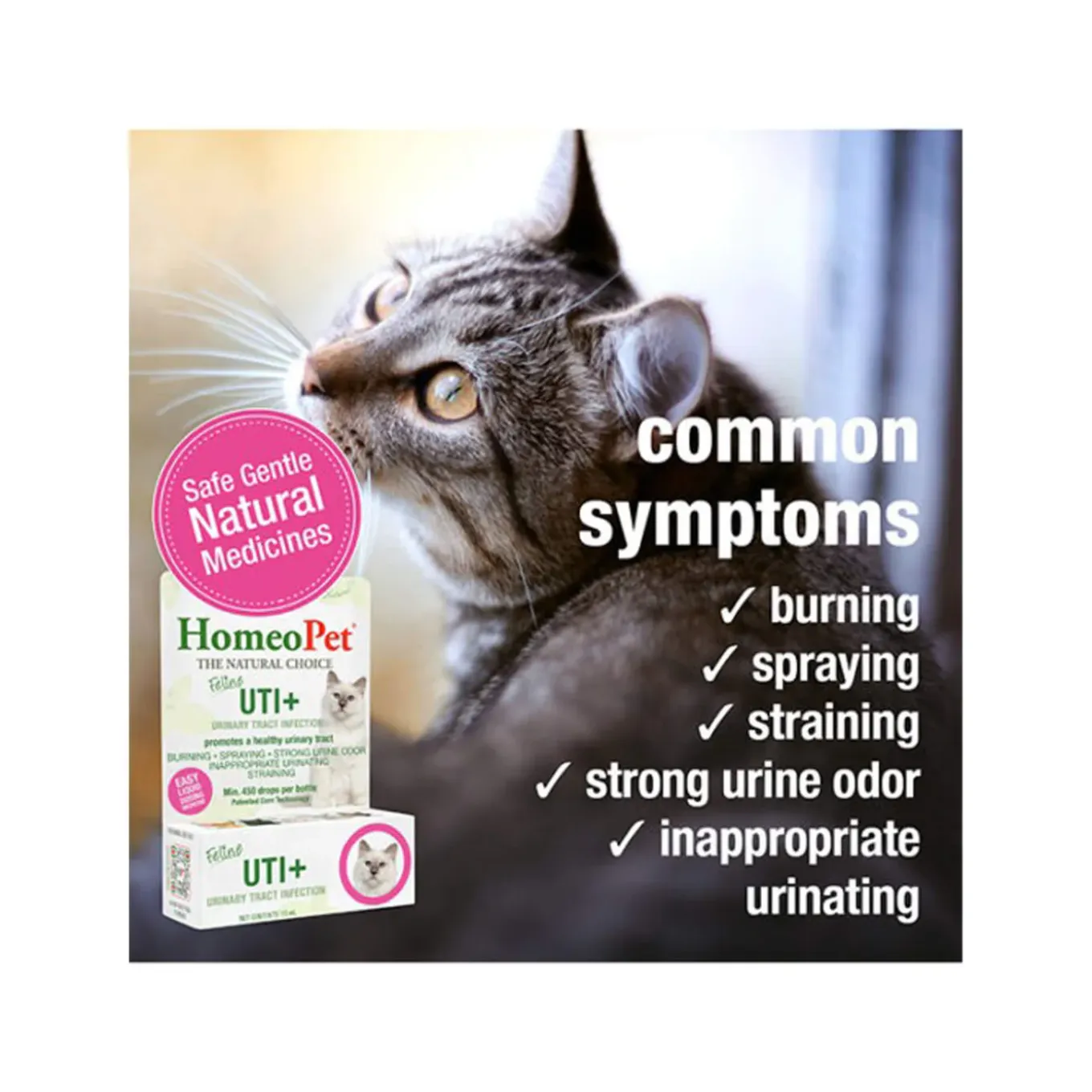 HomeoPet Feline Homeopathic UTI+ Drops for Cats