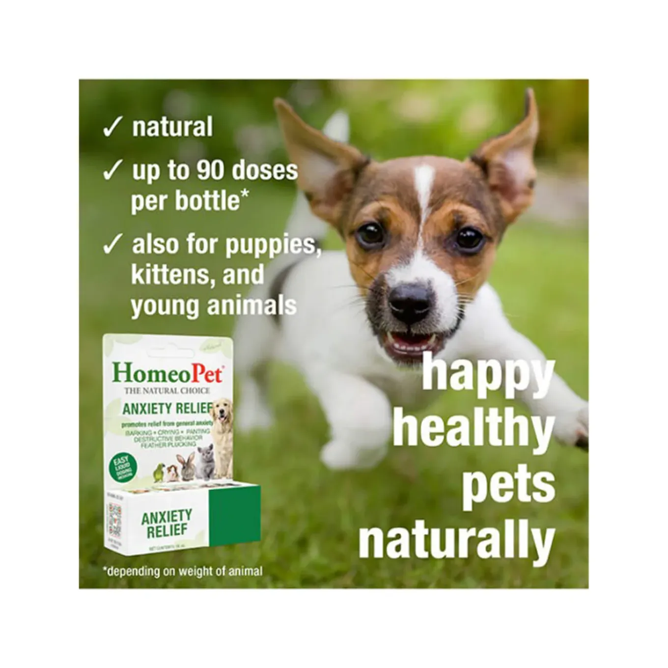 HomeoPet Homeopathic Anxiety Relief Drops for Dogs & Cats