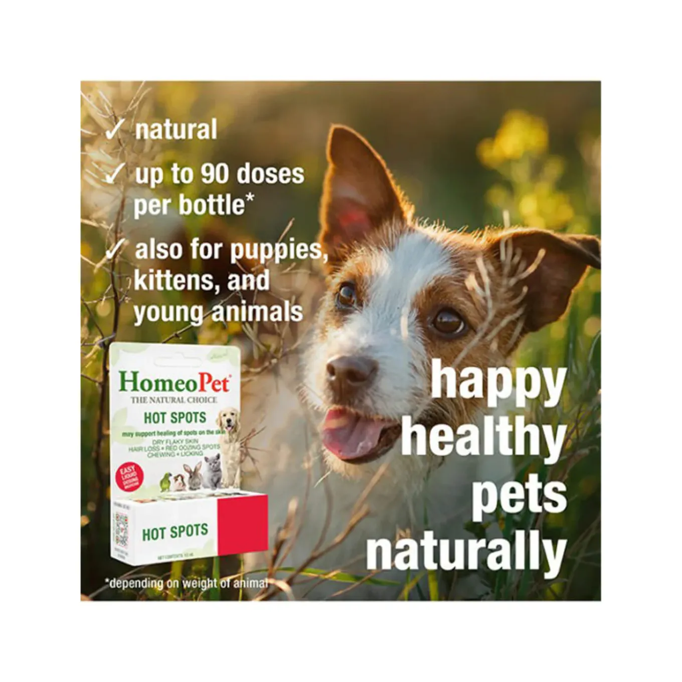 HomeoPet Homeopathic Hot Spots Skin Treatment Drops for Dogs & Cats