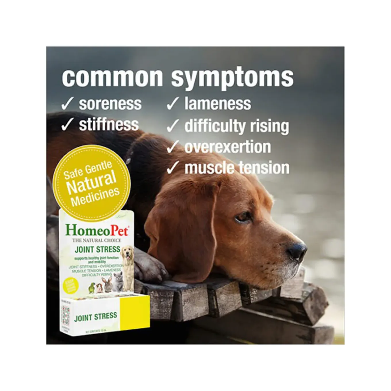 HomeoPet Homeopathic Joint Stress Mobility Support Drops for Dogs & Cats