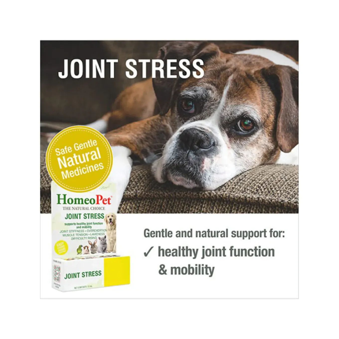 HomeoPet Homeopathic Joint Stress Mobility Support Drops for Dogs & Cats