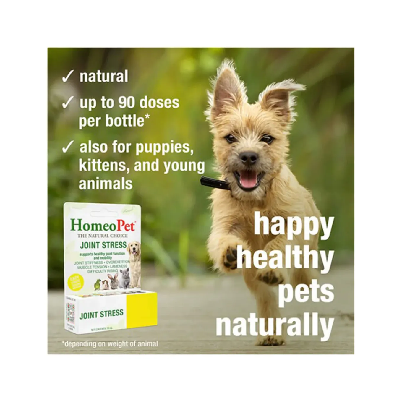 HomeoPet Homeopathic Joint Stress Mobility Support Drops for Dogs & Cats
