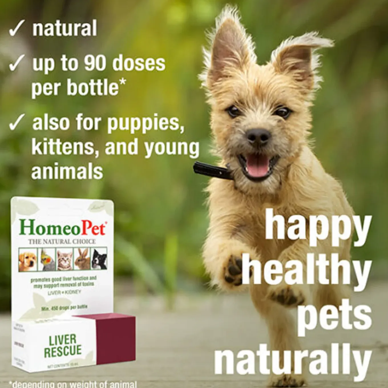 HomeoPet Liver Rescue