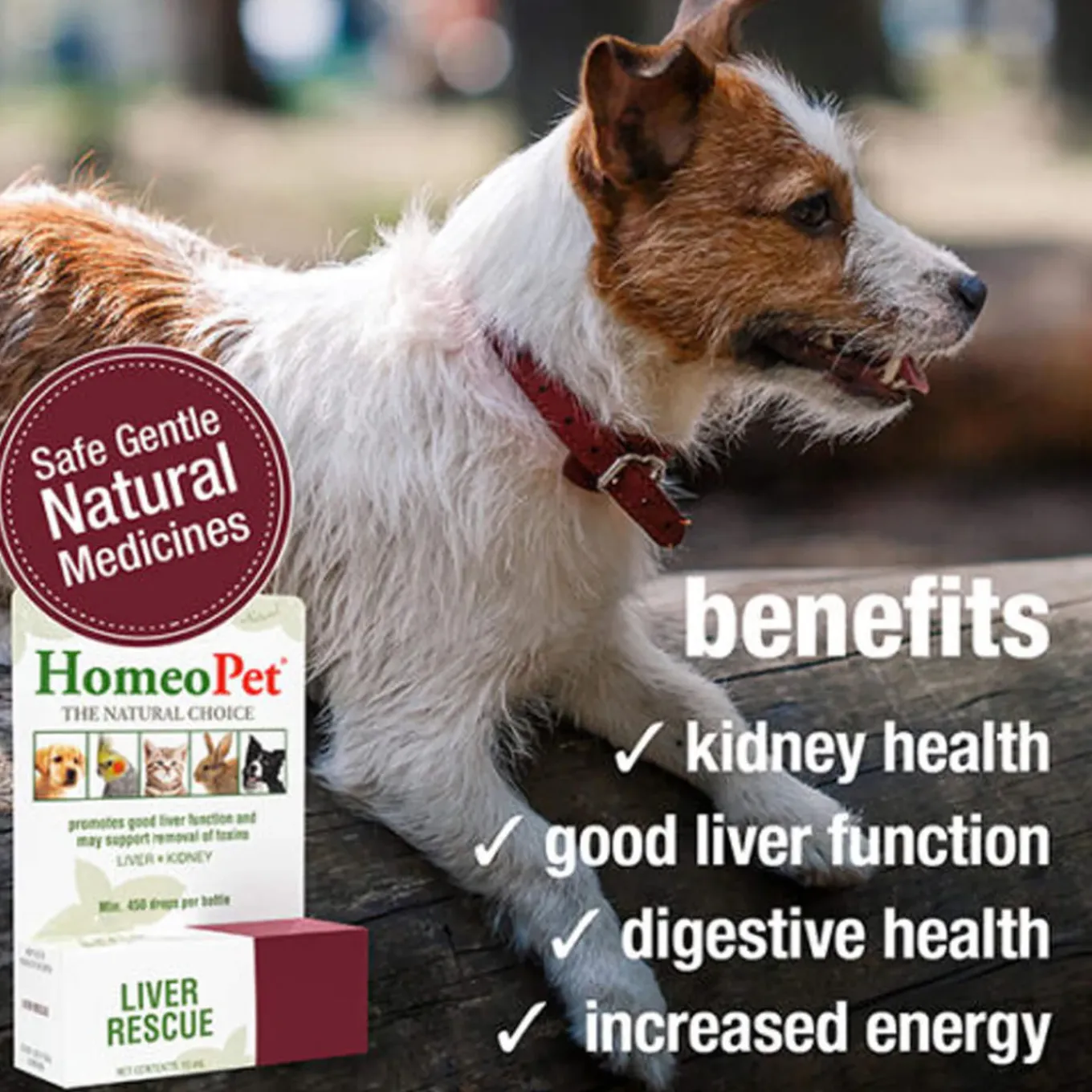 HomeoPet Liver Rescue
