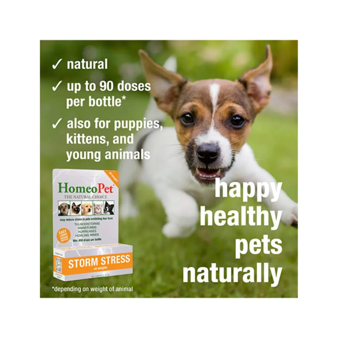 HomeoPet Storm Stress Homeopathic Anxiety Relief Drops for Dogs & Cats