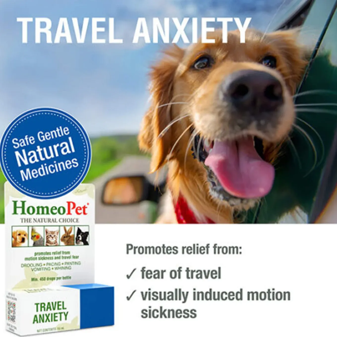 HomeoPet Travel Anxiety