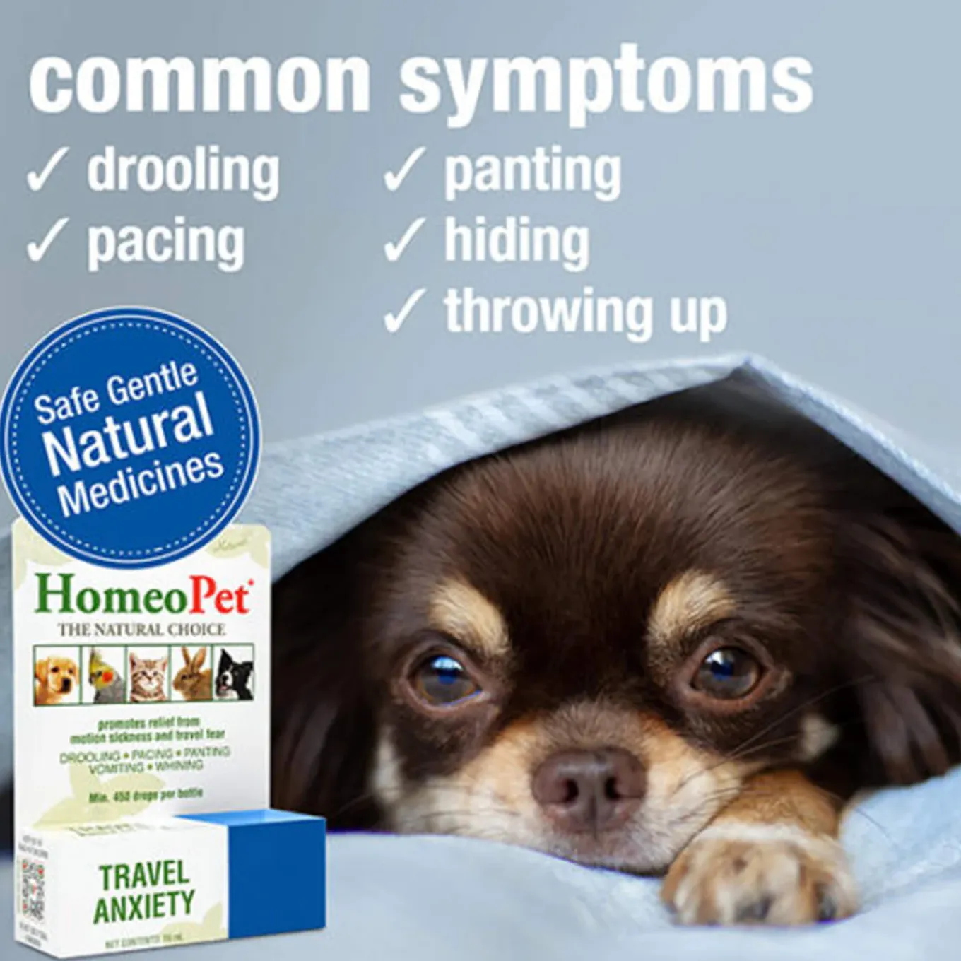 HomeoPet Travel Anxiety
