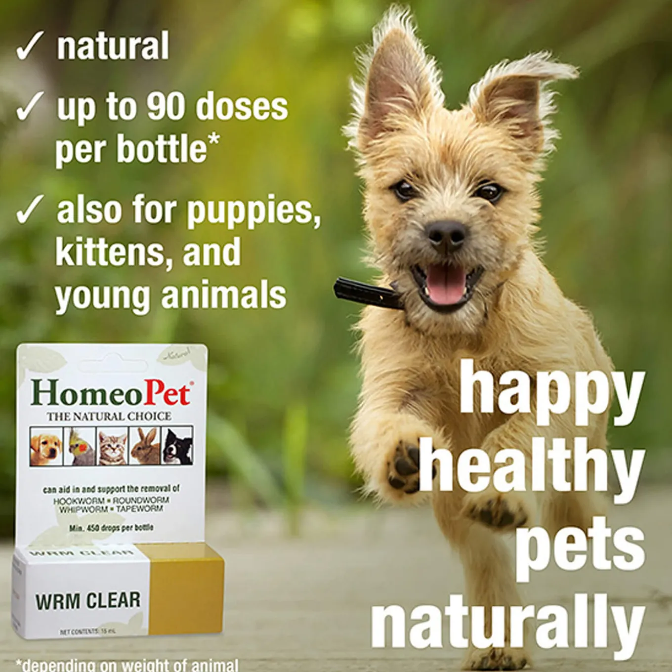 HomeoPet Wrm Clear