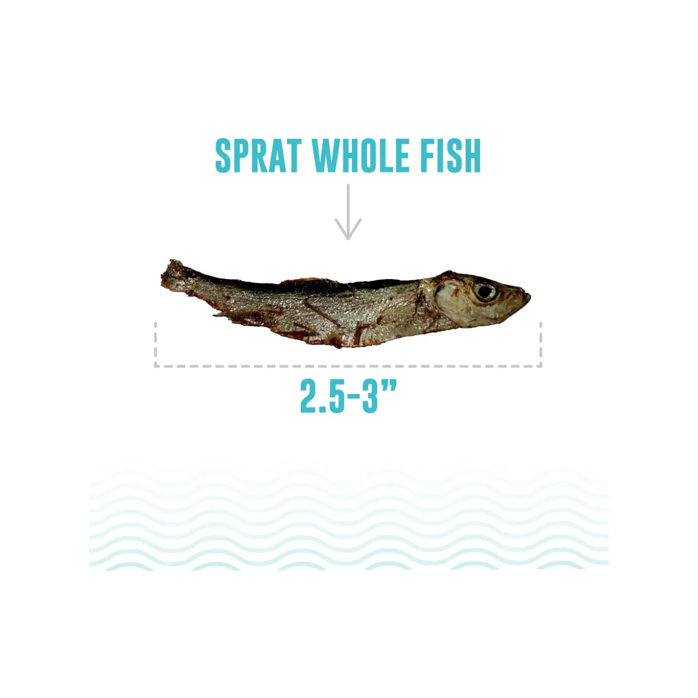 Icelandic+ Grain-Free Whole Fish Cat Treats