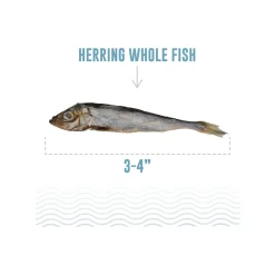 Icelandic+ Grain-Free Whole Fish Cat Treats
