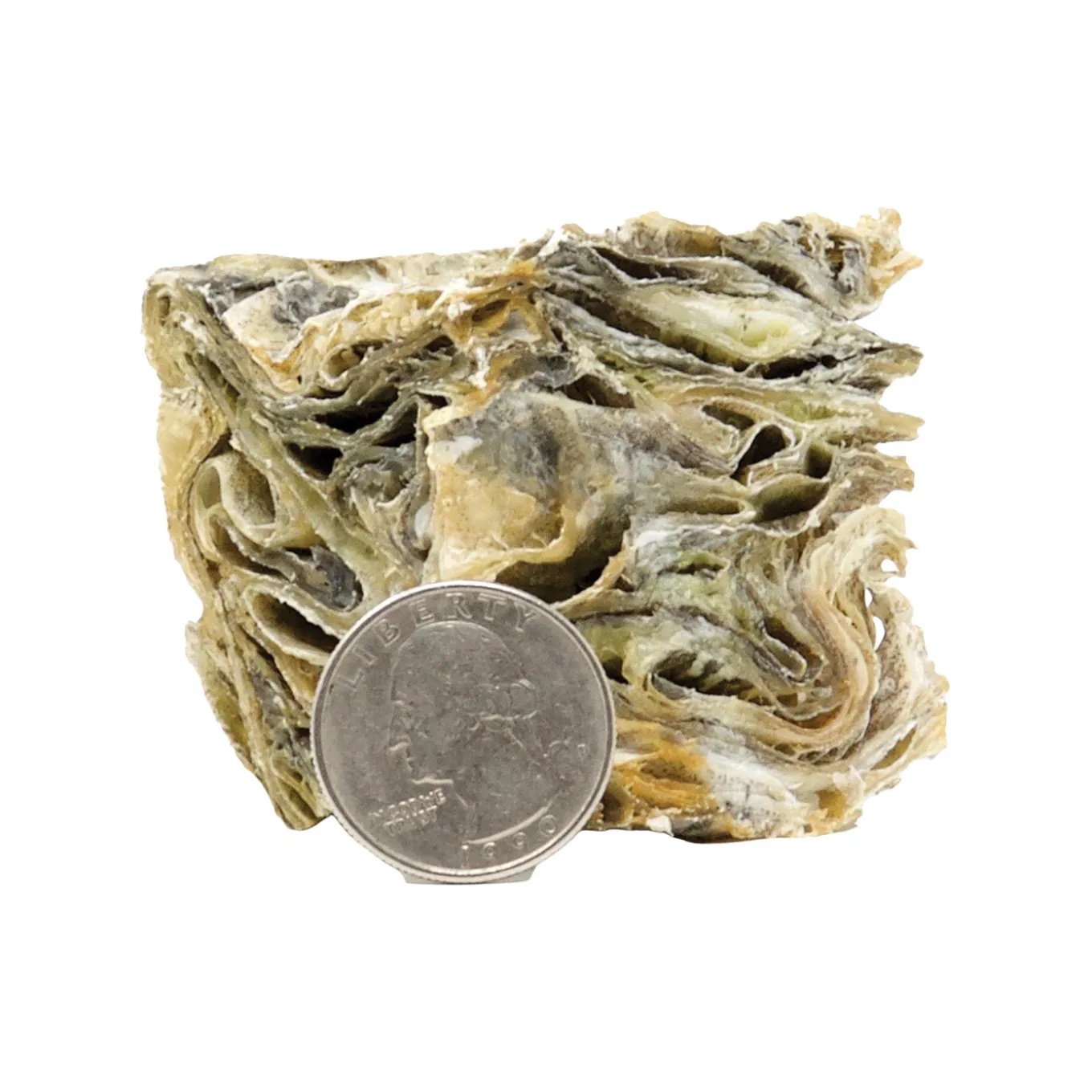 Icelandic+ Large Cod Skin Cube Dog Treats