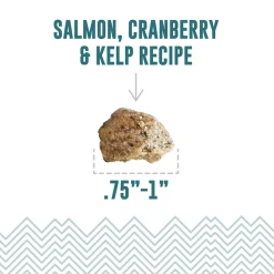 Icelandic+ Soft & Chewy Bites with Kelp for Dogs
