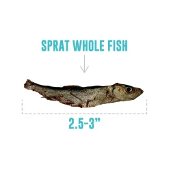 Icelandic+ Sprats Whole Fish Dog Treats
