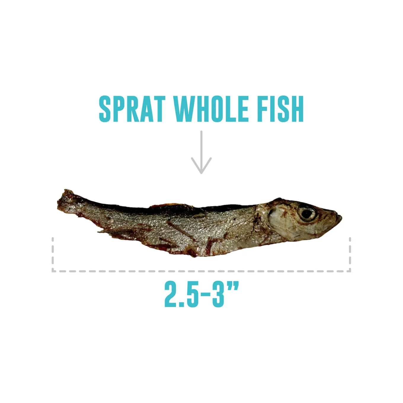 Icelandic+ Sprats Whole Fish Dog Treats