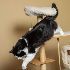 In Clover Connectin Hip & Joint Powder For Cats
