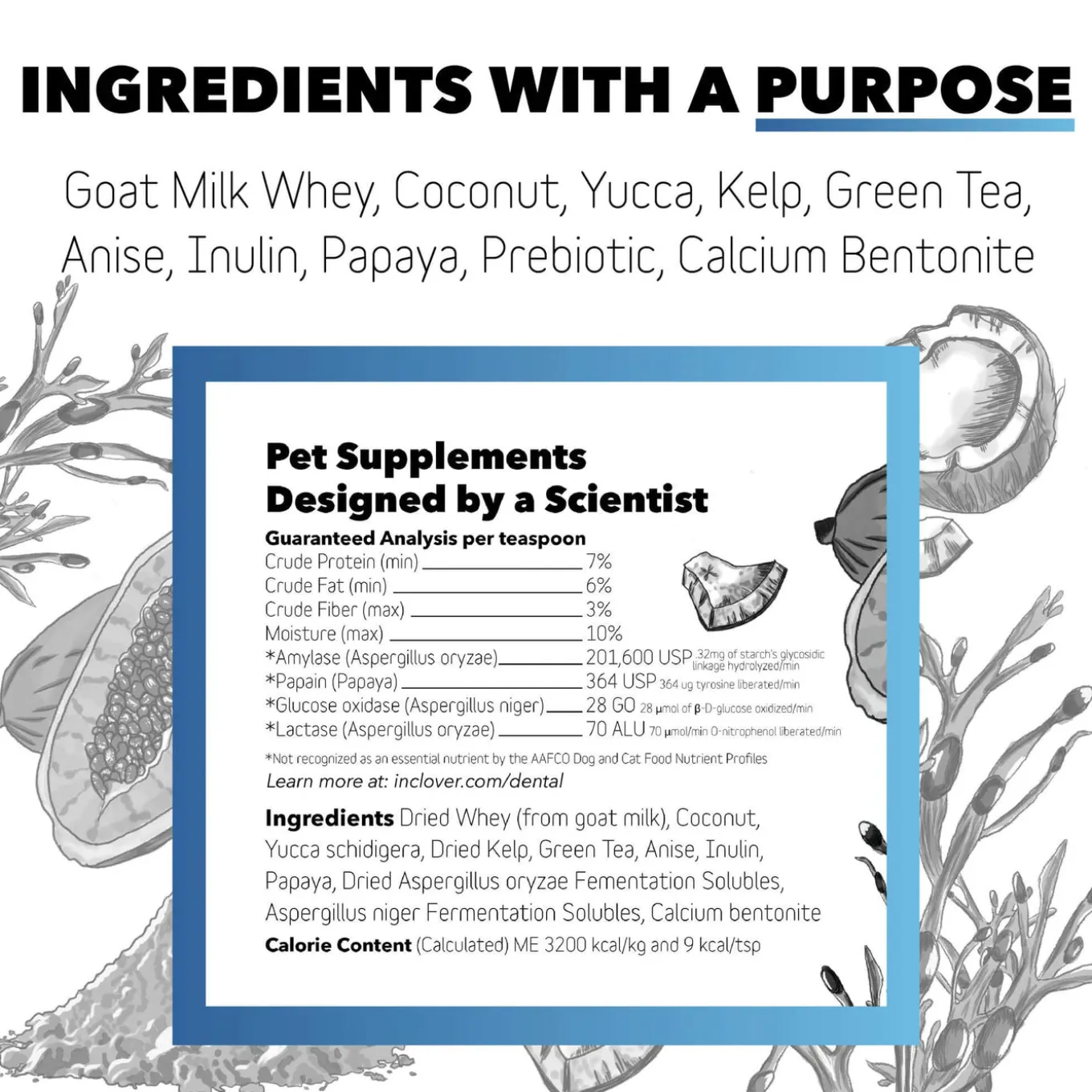 In Clover Dental Powder for Dogs & Cats