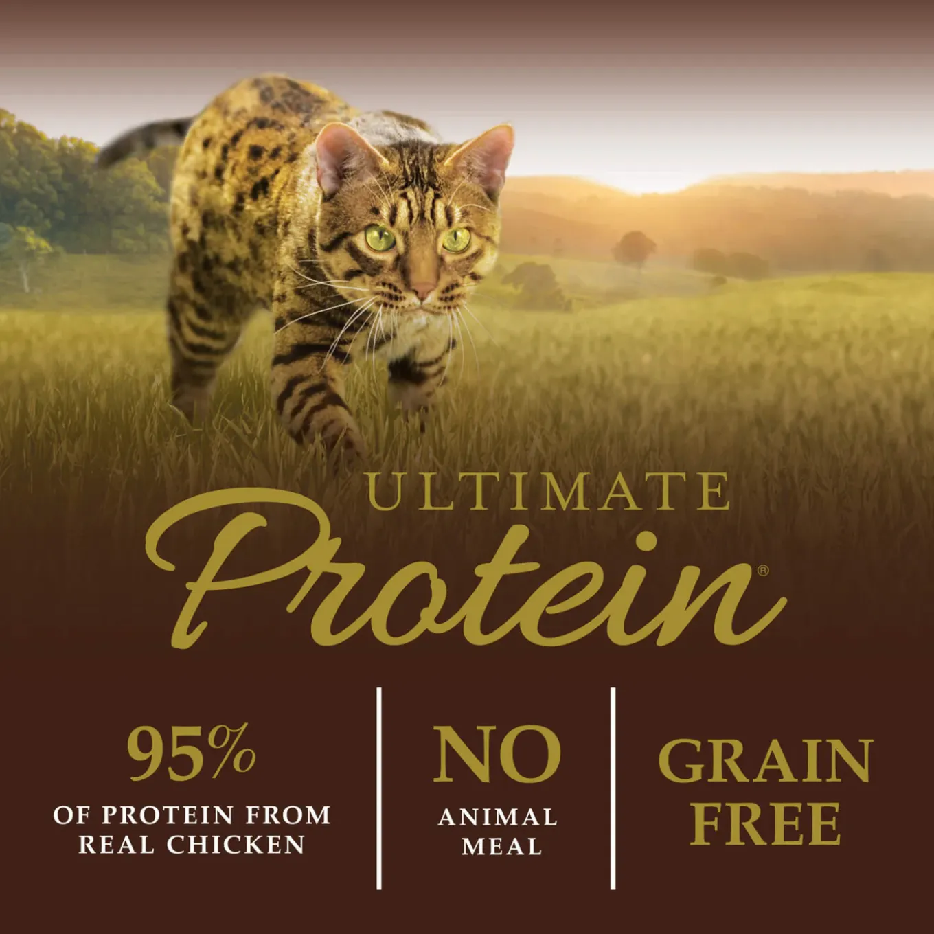 Instinct Ultimate Protein Dry Cat Food