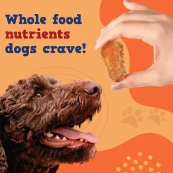 Jack & Pup Just Limited Ingredient Dog Treats
