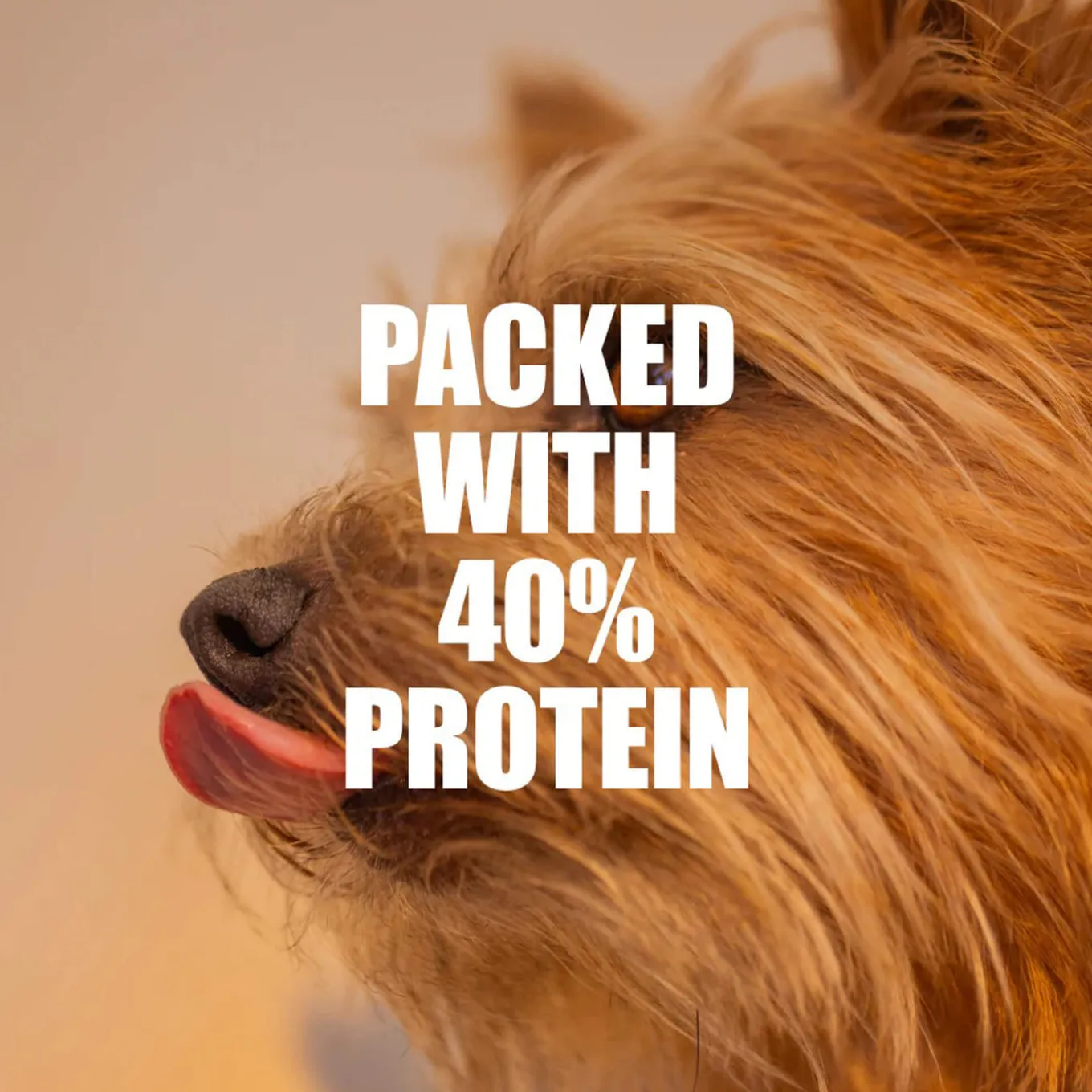 K9 Natural Baked & Coated Grain-Free Dog Food