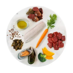 K9 Natural Freeze-Dried Dog Food