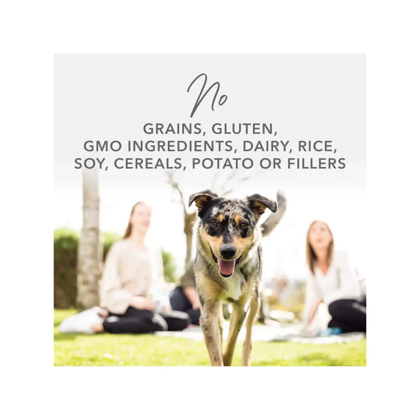 K9 Natural Grain-Free Canned Dog Food