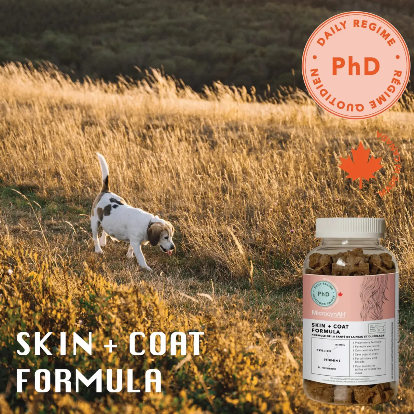 MicrocynAH PHD Skin & Coat Health Chews for Dogs