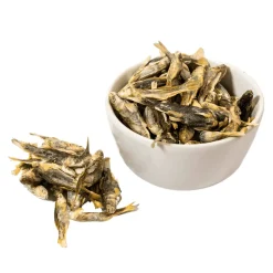 Momentum Freeze Dried Treats for Dogs & Cats