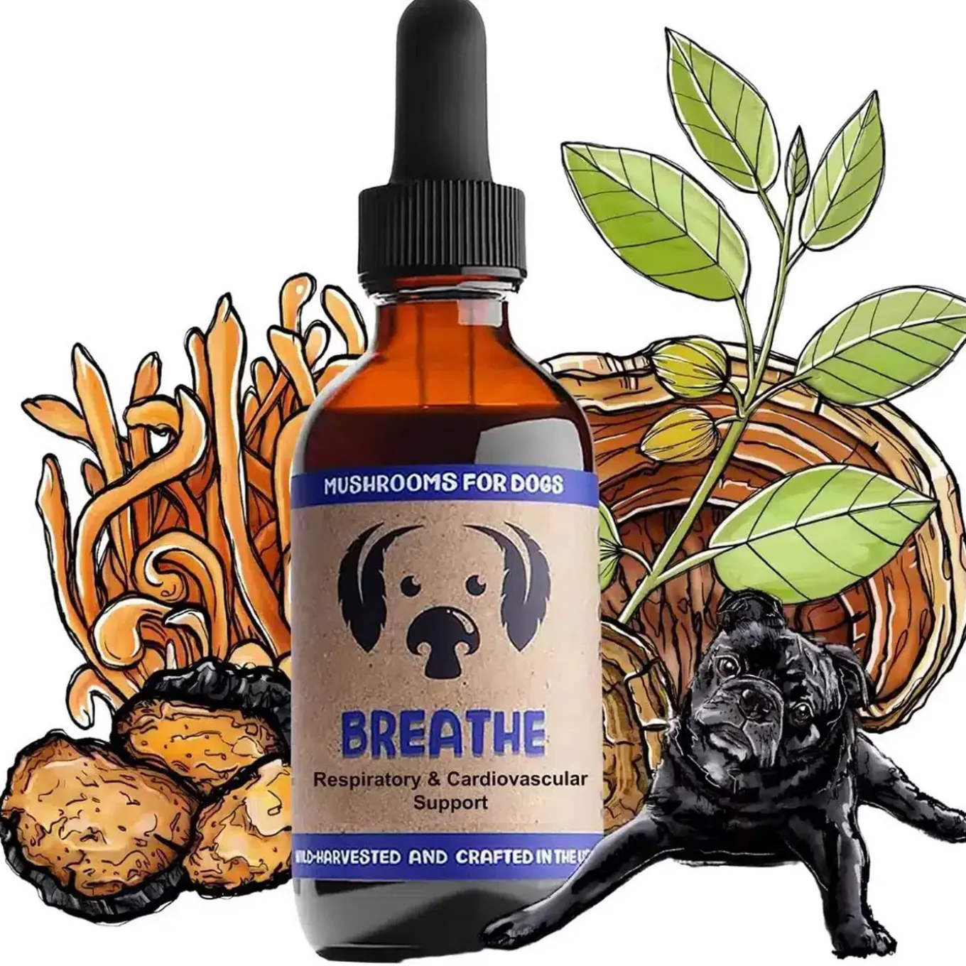 MycoDog Breathe Liquid Respiratory & Cardiovascular Supplement for Dogs