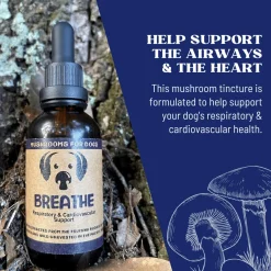 MycoDog Breathe Liquid Respiratory & Cardiovascular Supplement for Dogs