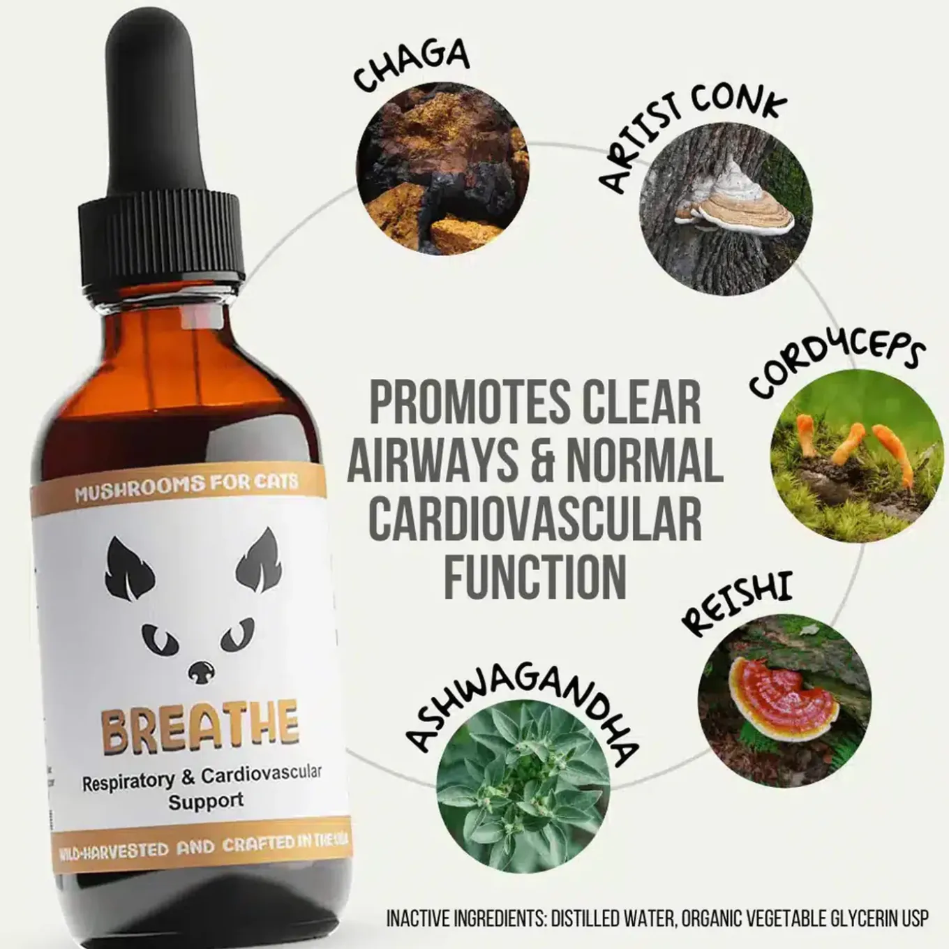 MycoDog Breathe Liquid Respiratory & Cardiovascular Supplement for Cats