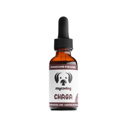 MycoDog Chaga Mushroom Tincture for Dogs