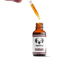 MycoDog Chaga Mushroom Tincture for Dogs