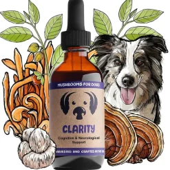 MycoDog Clarity Liquid Cognitive Support Supplement for Dogs