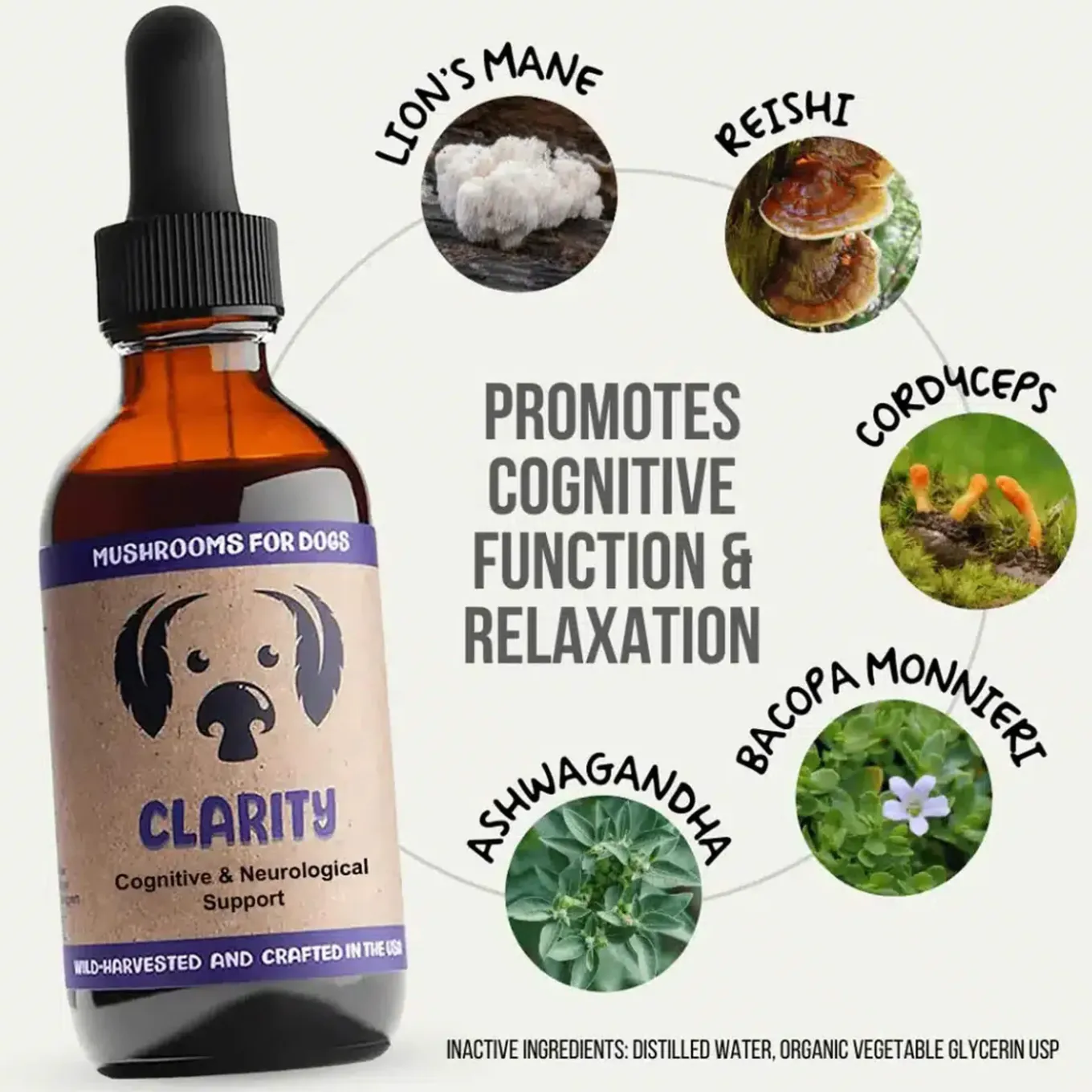 MycoDog Clarity Liquid Cognitive Support Supplement for Dogs