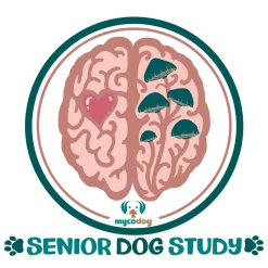 MycoDog Clarity Liquid Cognitive Support Supplement for Dogs