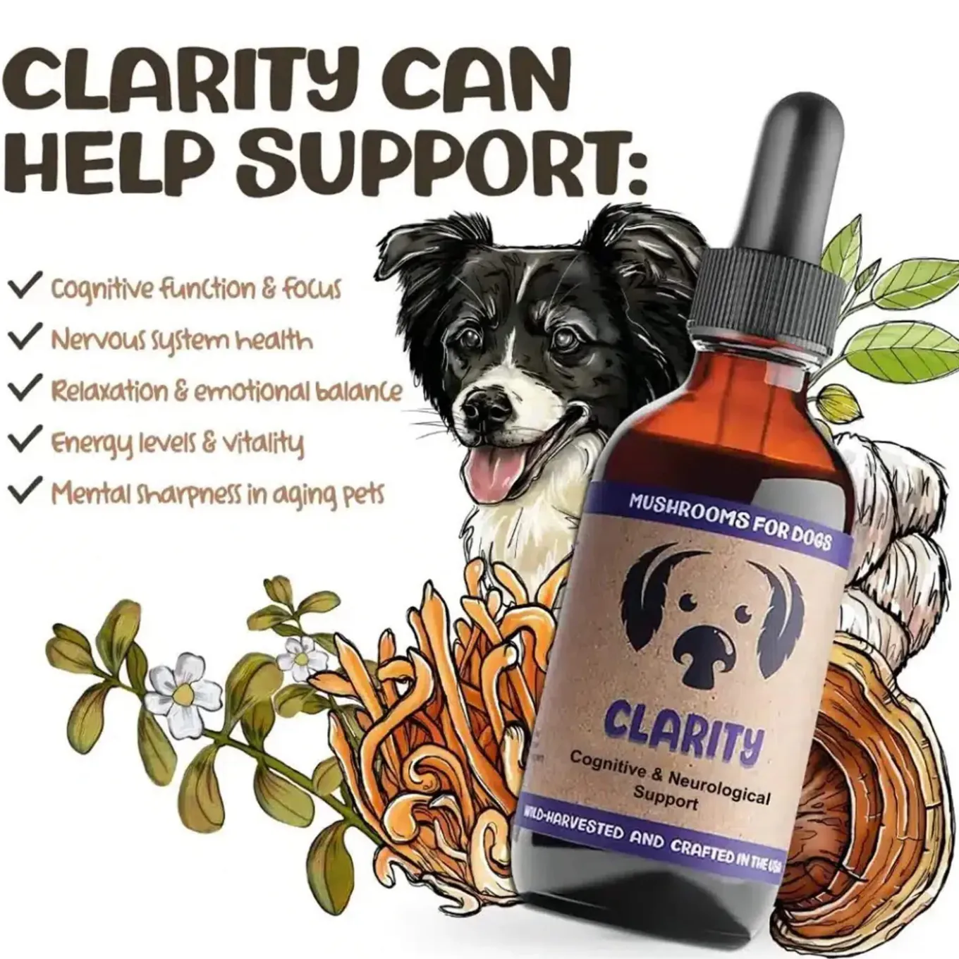 MycoDog Clarity Liquid Cognitive Support Supplement for Dogs